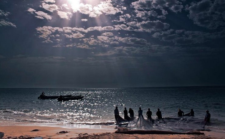 Dubai overfishing: 13 years after Tafline’s warning